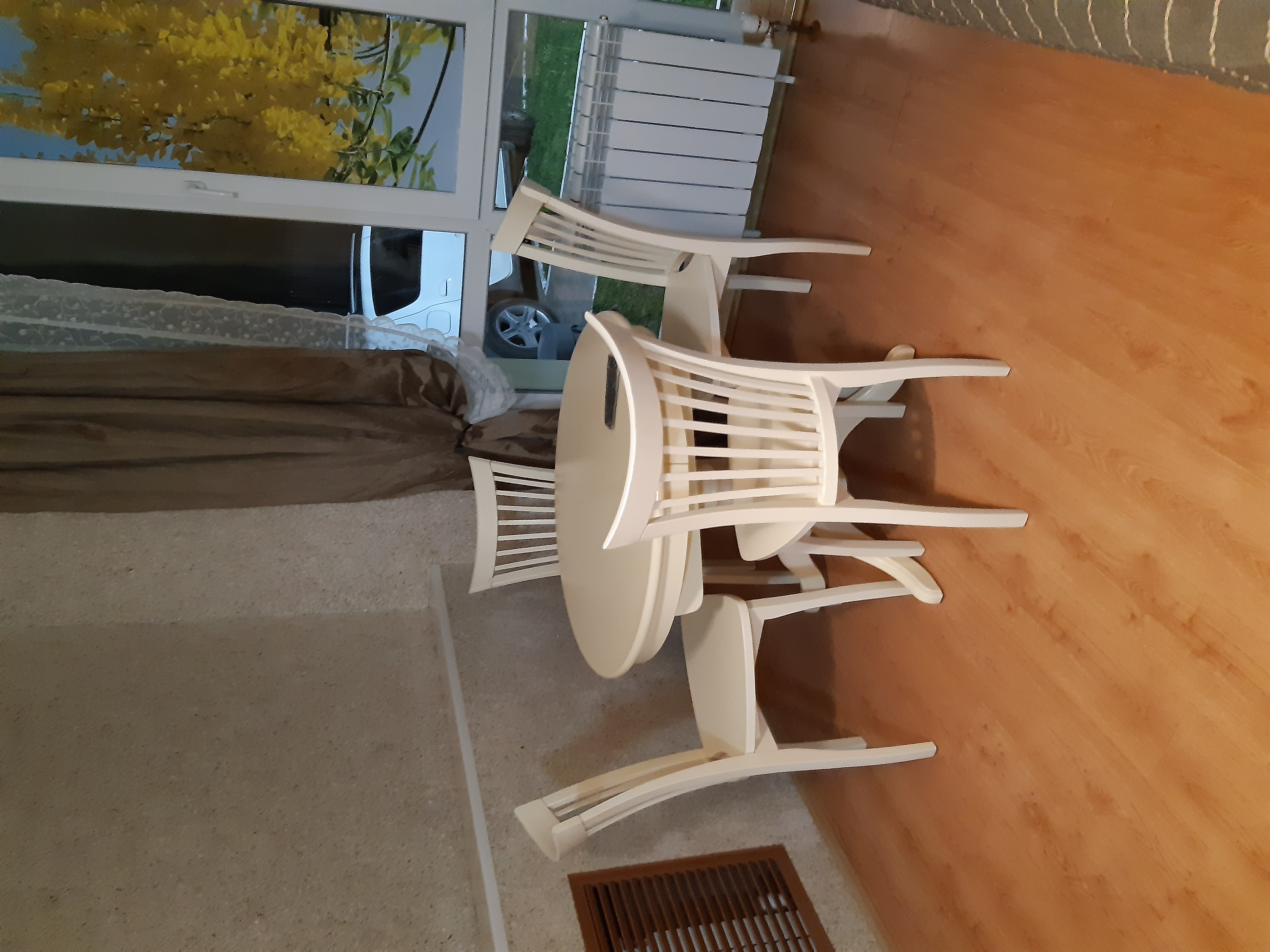 Фото Акация