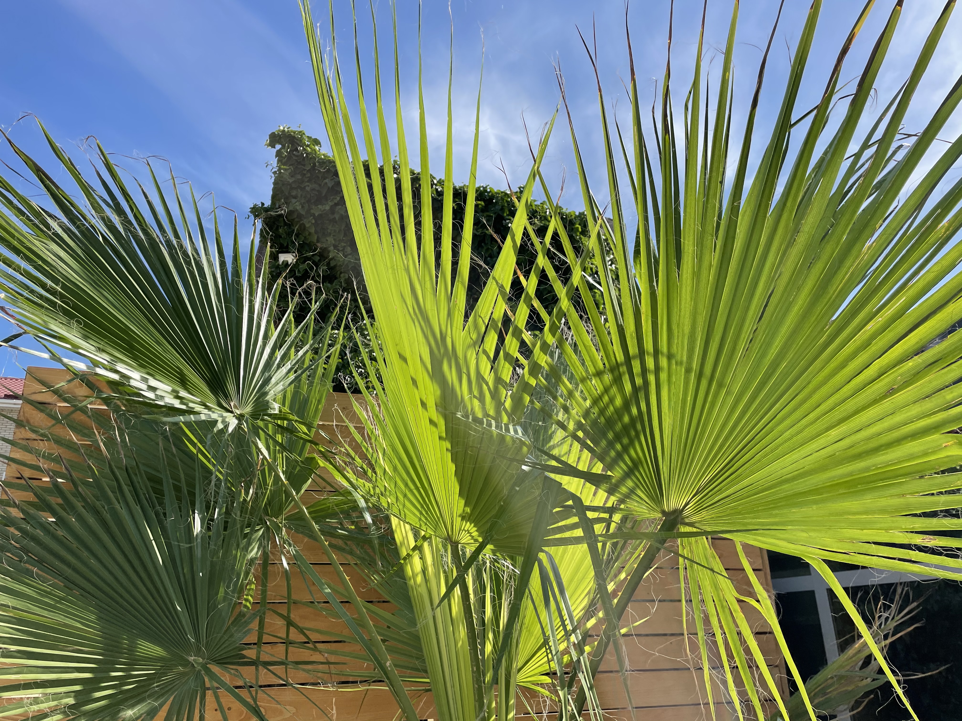 Фото Аура-Крым