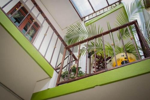 Фото Hotel Magnolia