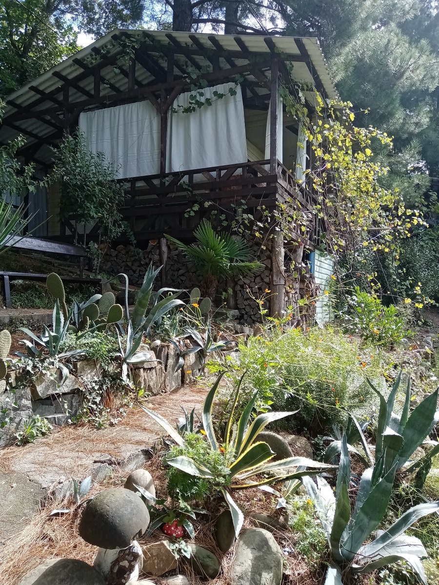 Фото Сосновый Бор