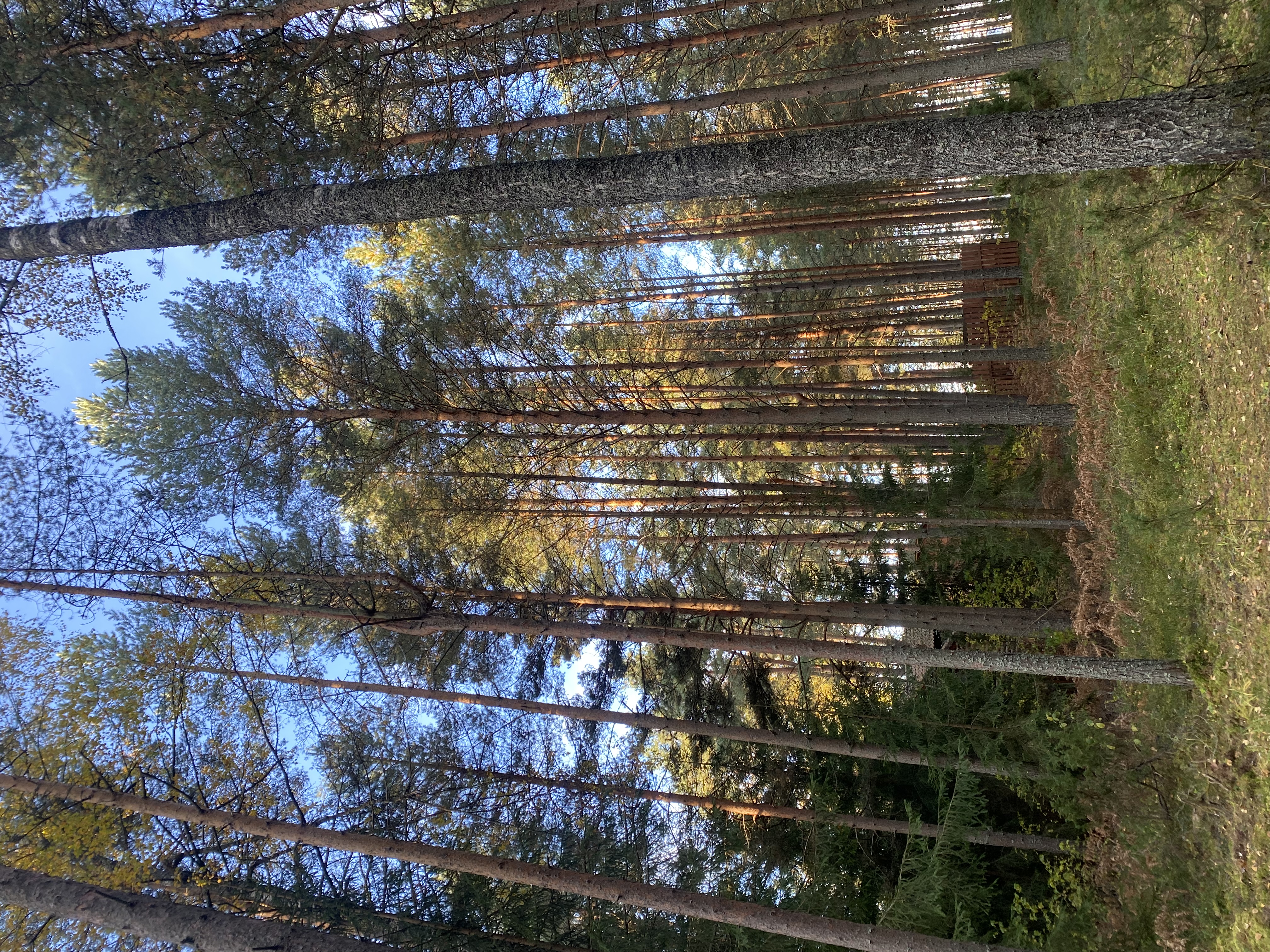 Фото Seliger Wind