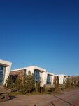 Innopolis (Universitetskaya Street, 7), empresa de ti