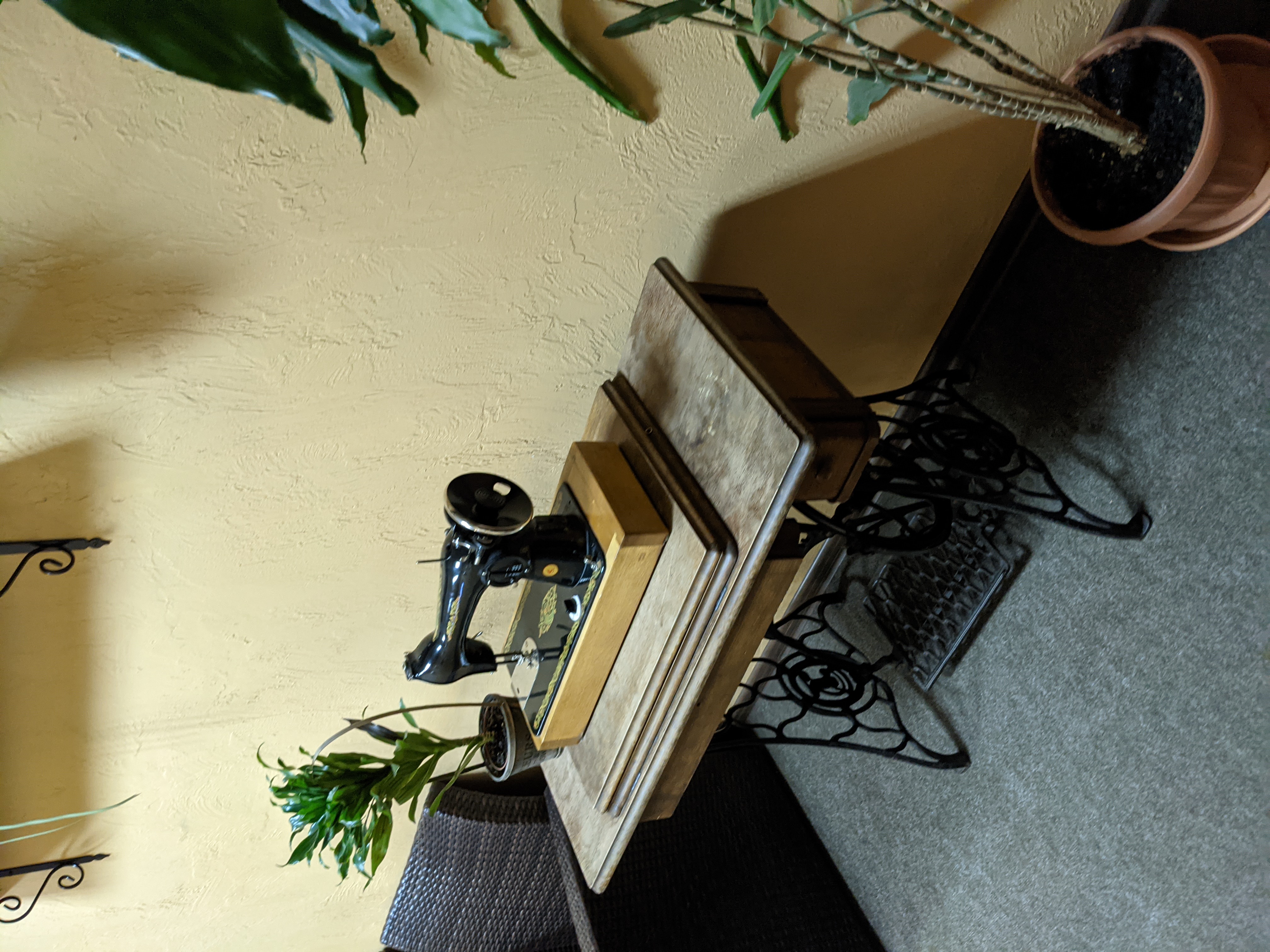 Фото Екатерингоф