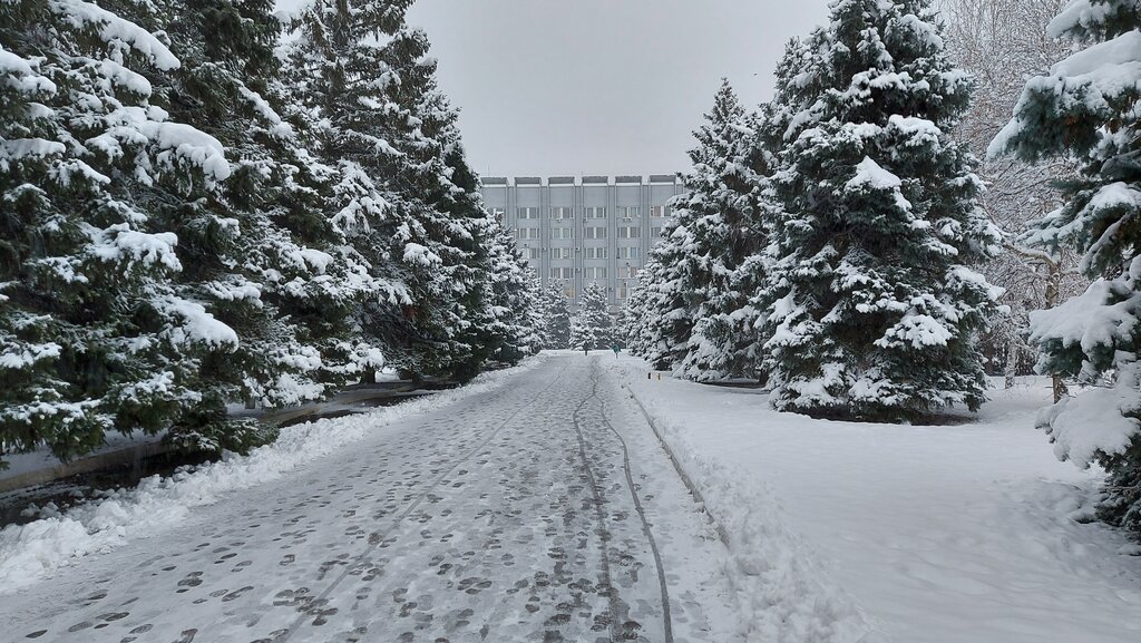 University Kuban State Agrarian University named after I.T. Trubilin, Krasnodar, photo