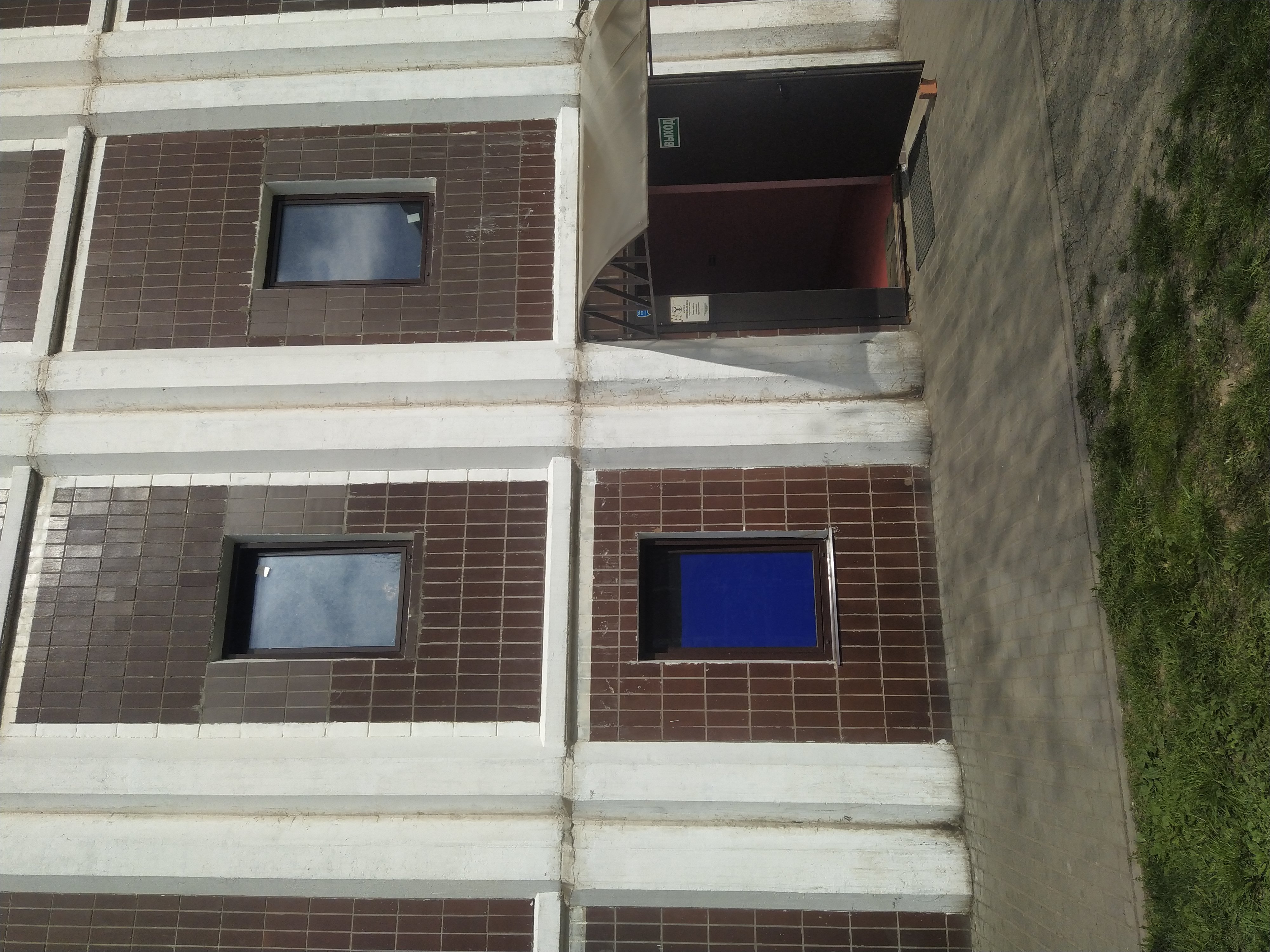 Фото Вежливый Лось