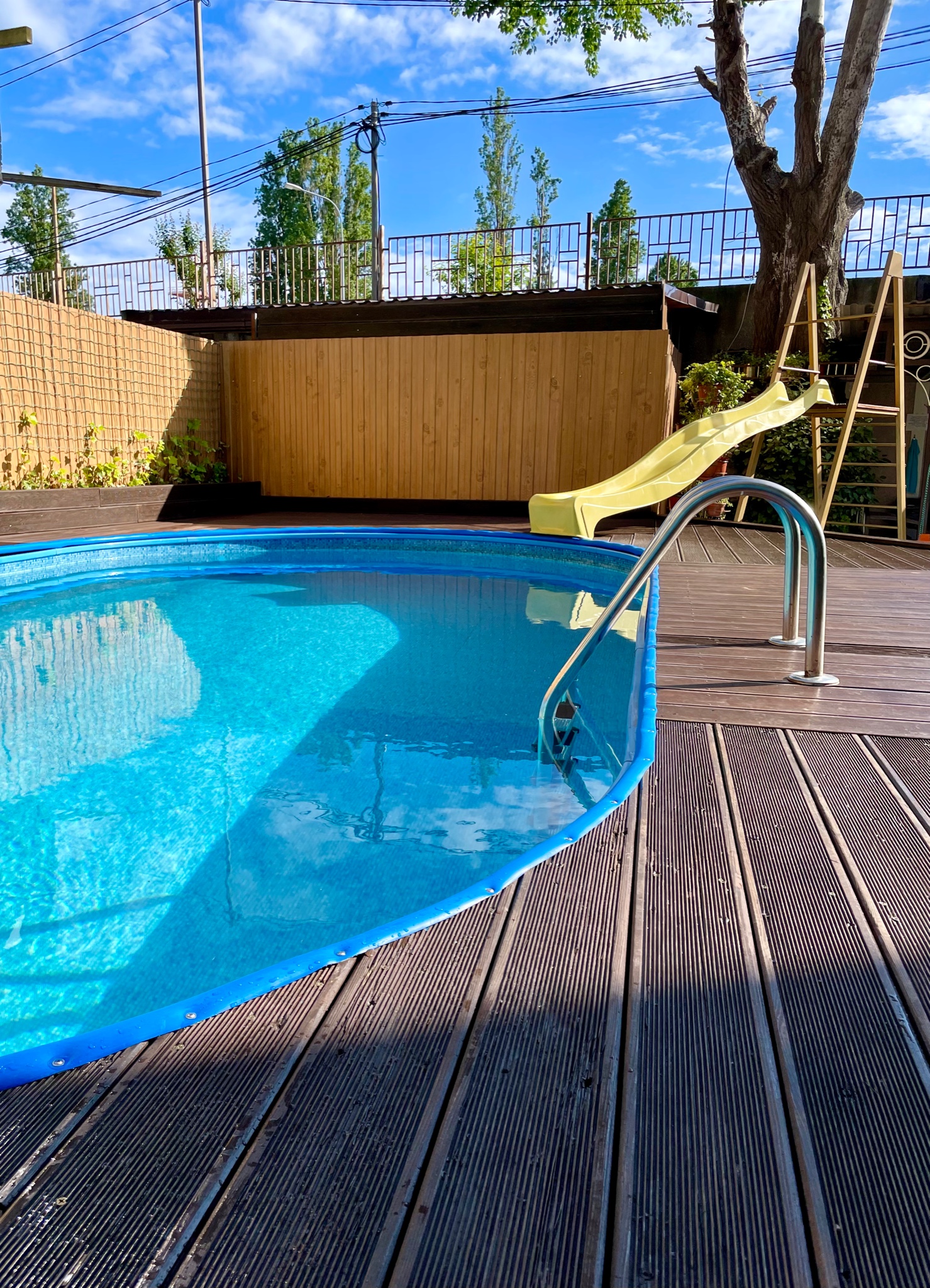 Фото Дельфин Парк