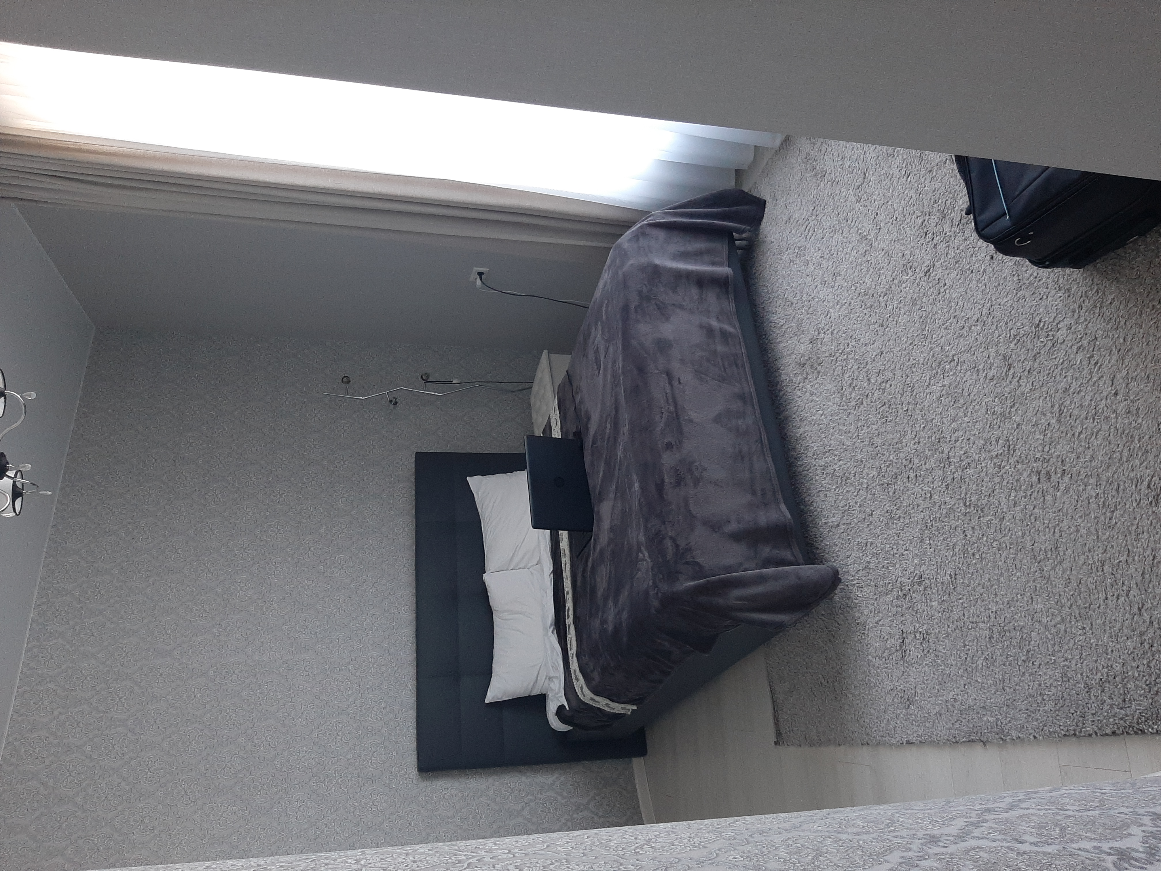 Фото Континенталь