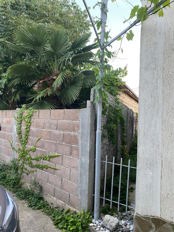 Фото У Марселя