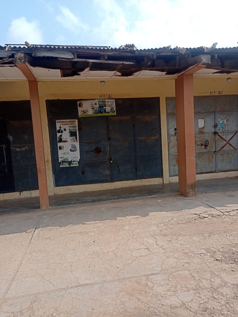 Laundry Elephantha laundry, Earth, photo