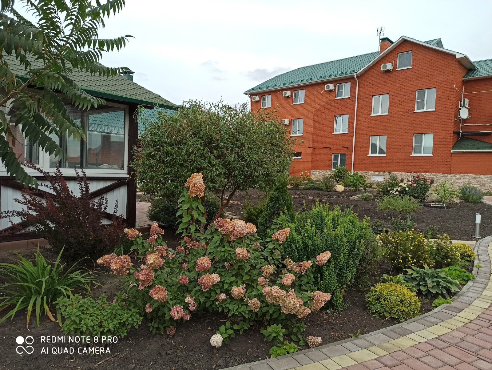 Фото Торфорт