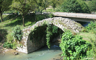 Фото Звандрипш Эко Village