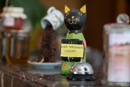 Фото Кутлер