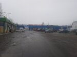 Аквариус (Pristantsionnaya Street, 6) ، أحواض السمك