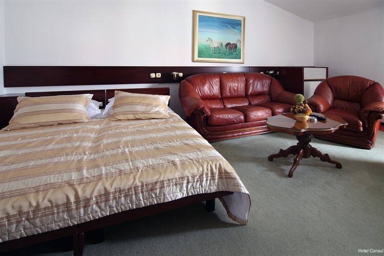 Фото Hotel Consul