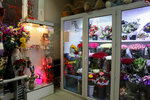 Цветы (Novozavodskaya Street, 23/8к1), flower shop