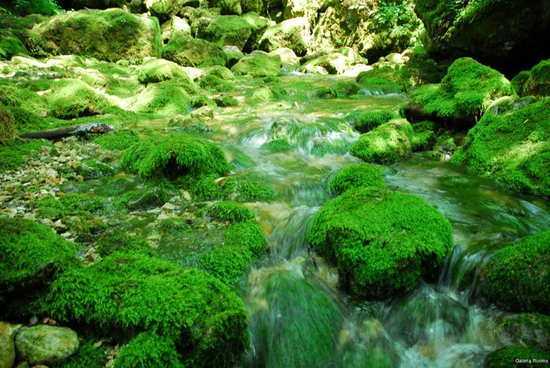 Фото Galeria Rooms