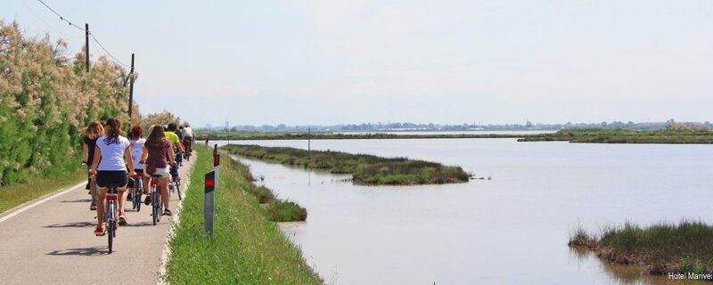 Фото Hotel Mariver