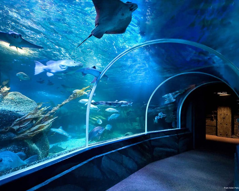 Фото Park Hotel Perù