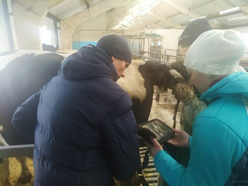 Ветеринарная клиника ГБУ Мордовская республиканская станция по борьбе с болезнями животных, Саранск, фото