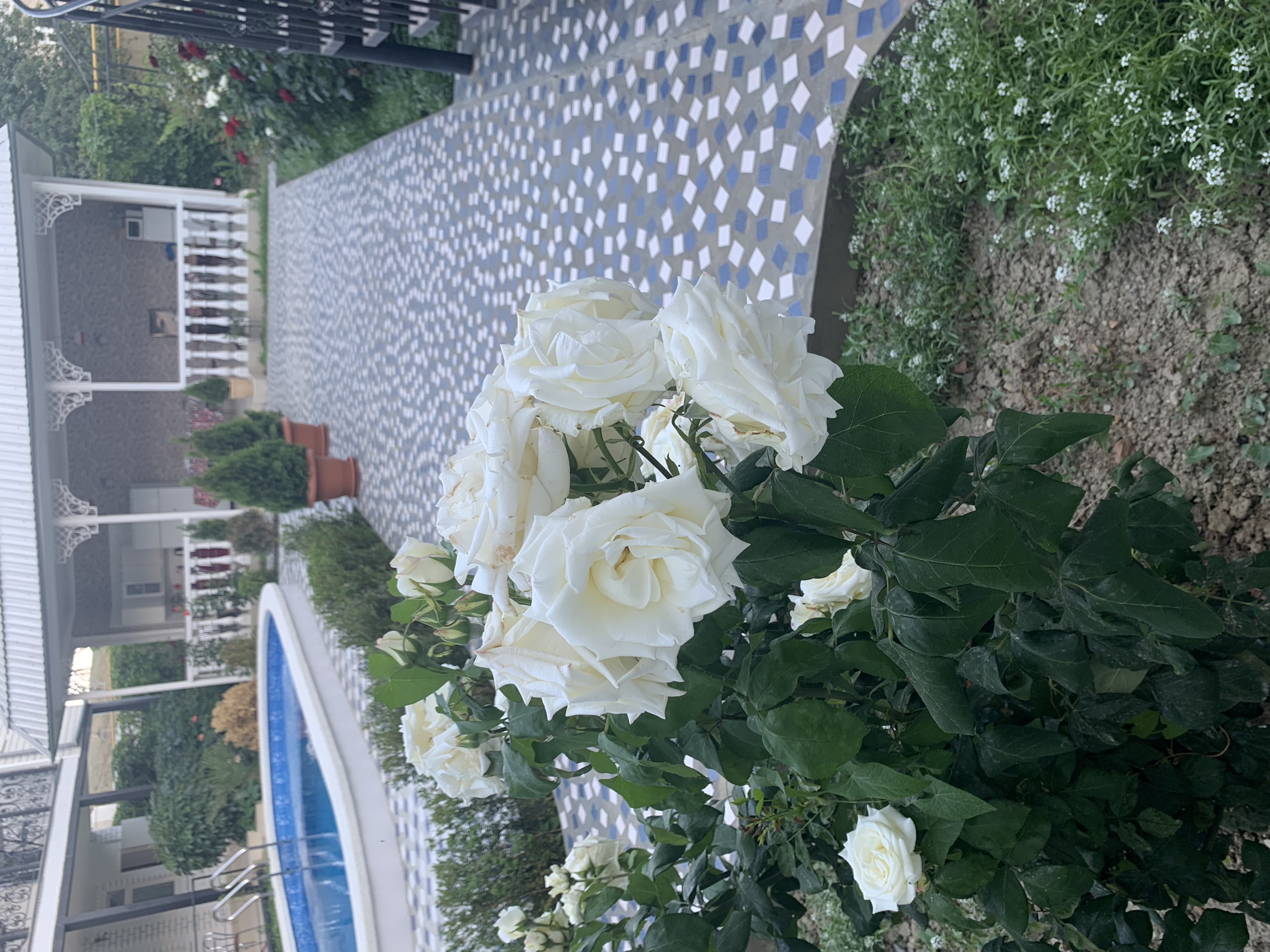 Фото Азария