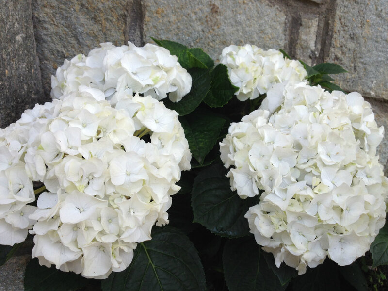 Фото Villamirella