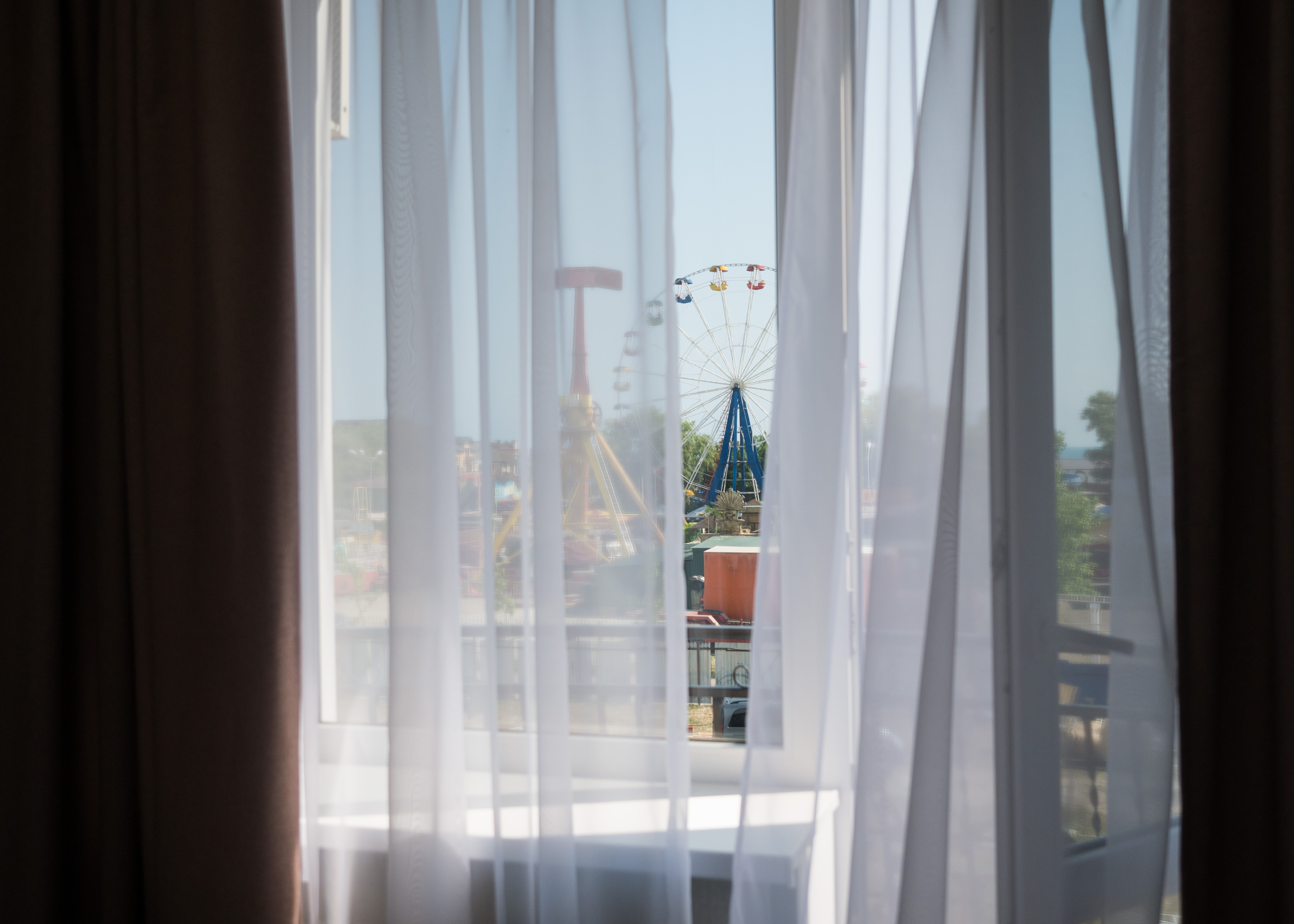 Фото Золотая Подкова