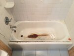 Garden State Bath (United States, Brick Township, 183 Cherry Quay Rd, Suite C) ، بناء حمامات وساونا