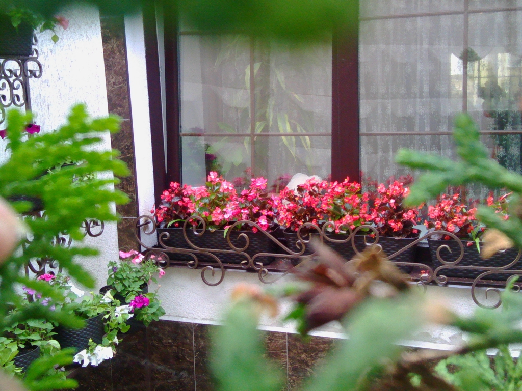 Фото Губерния