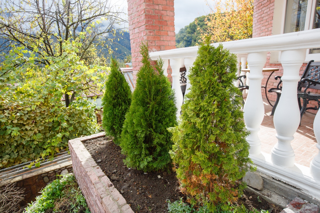 Фото Вилла Уютная