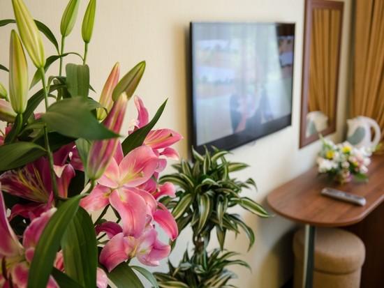 Фото Гранат