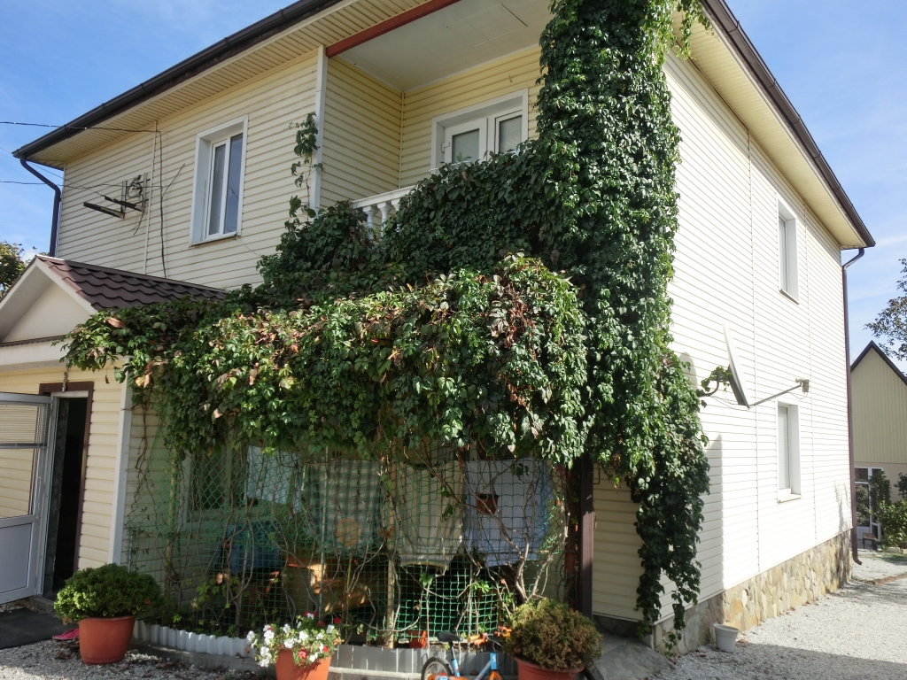 Фото У реки