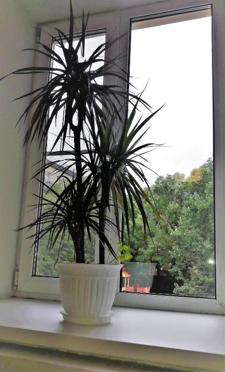 Фото Голландия