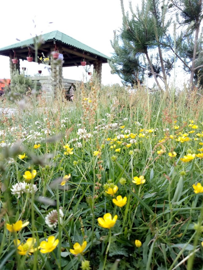 Фото Горизонт