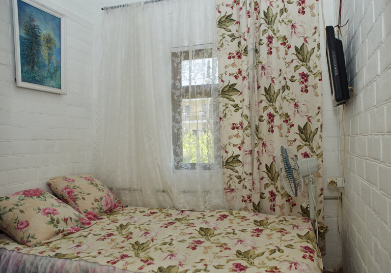 Фото Подсолнух