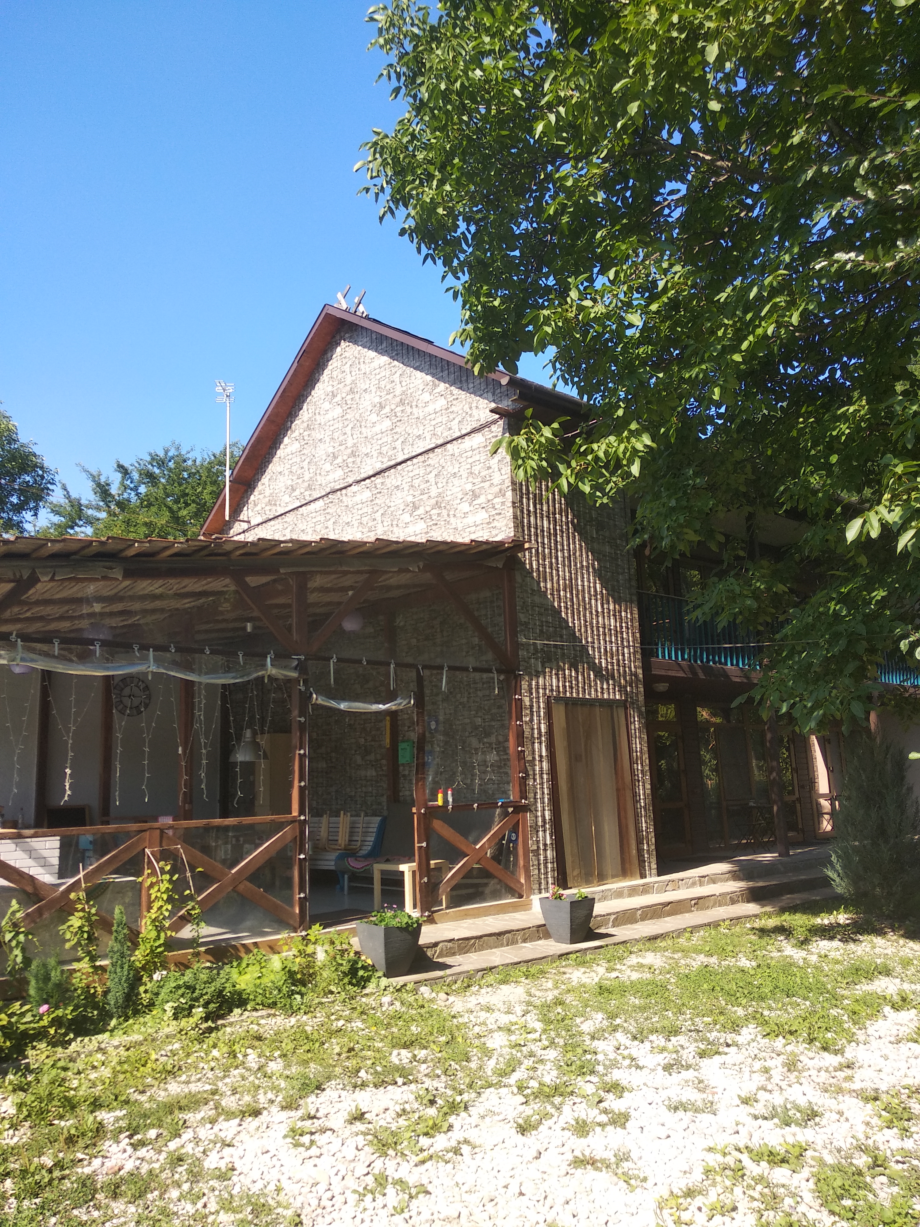 Фото Горная Лаванда