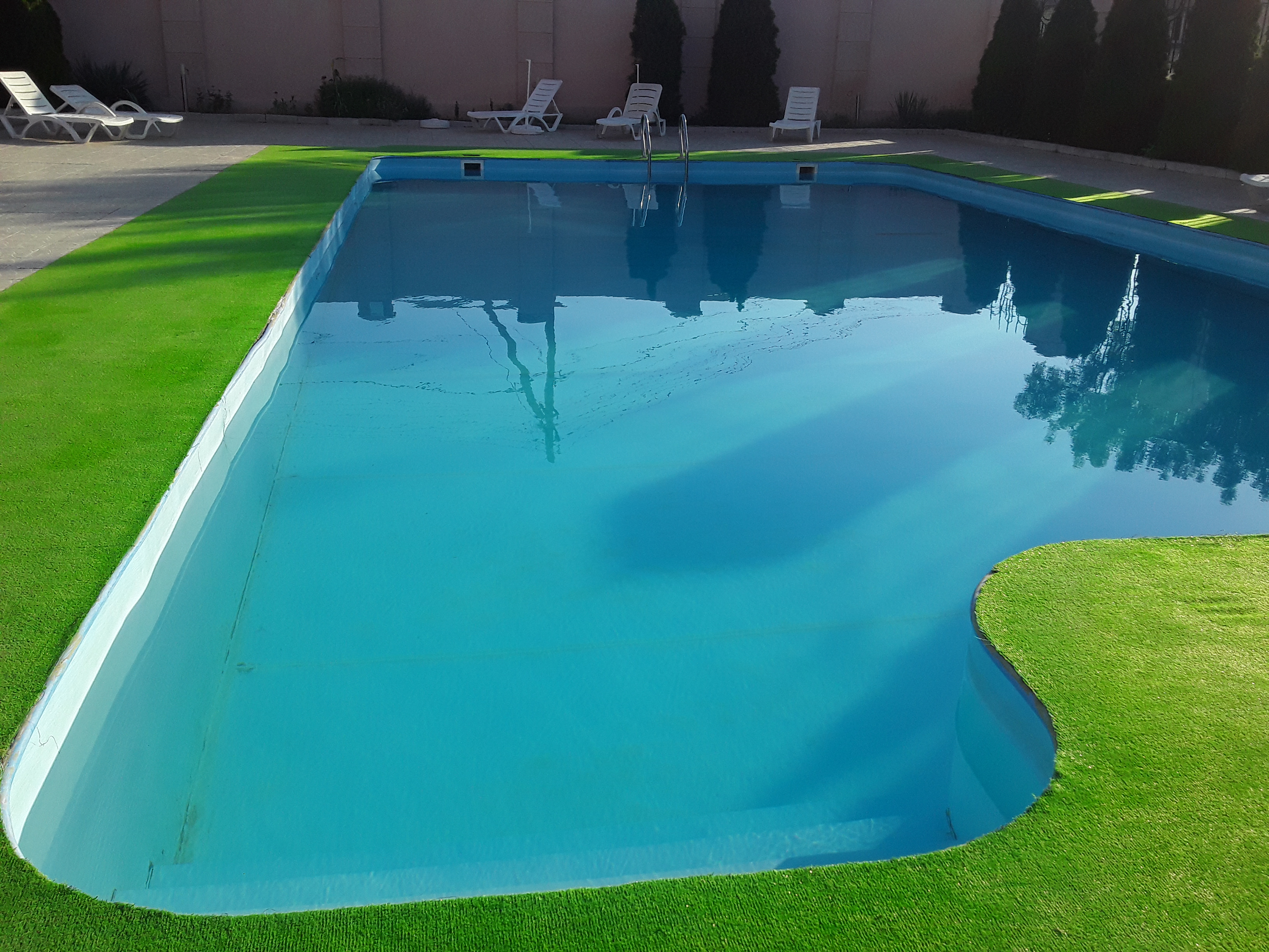 Фото Коралл