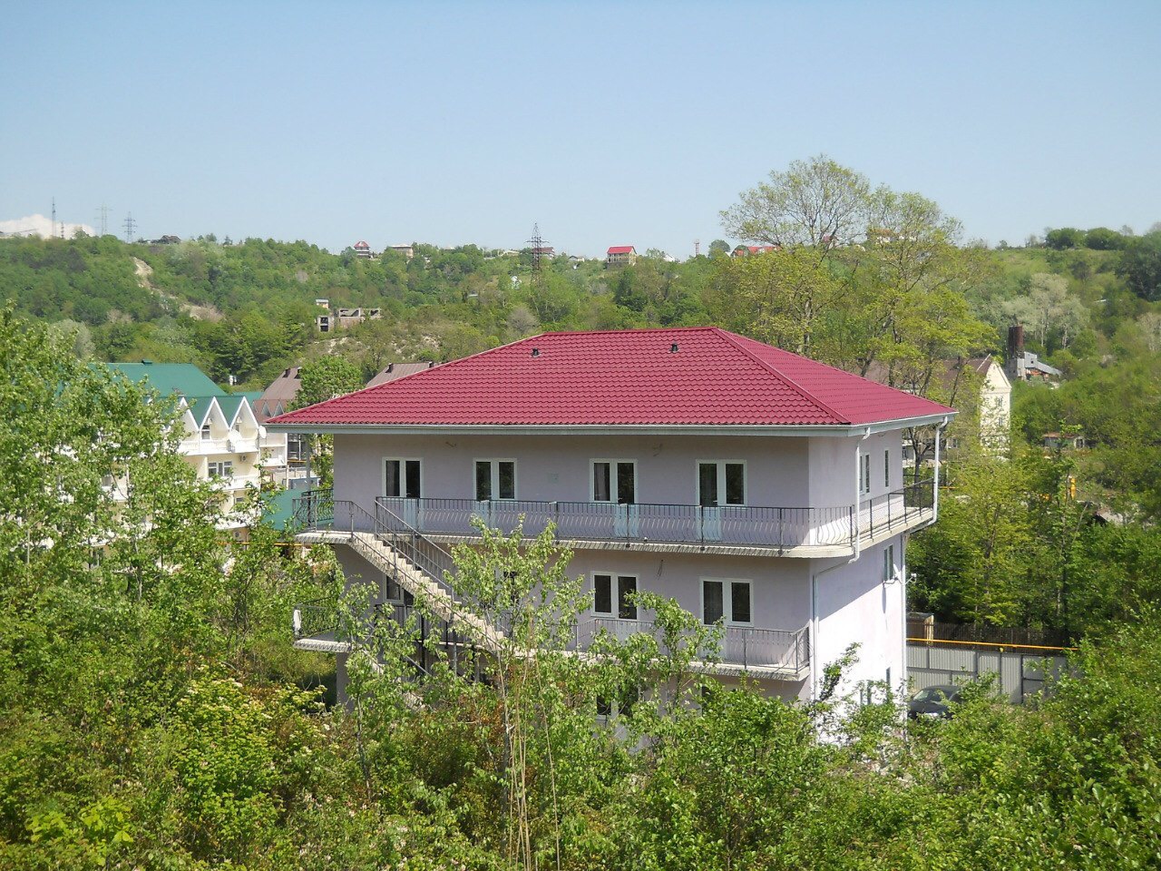 Фото Резеда