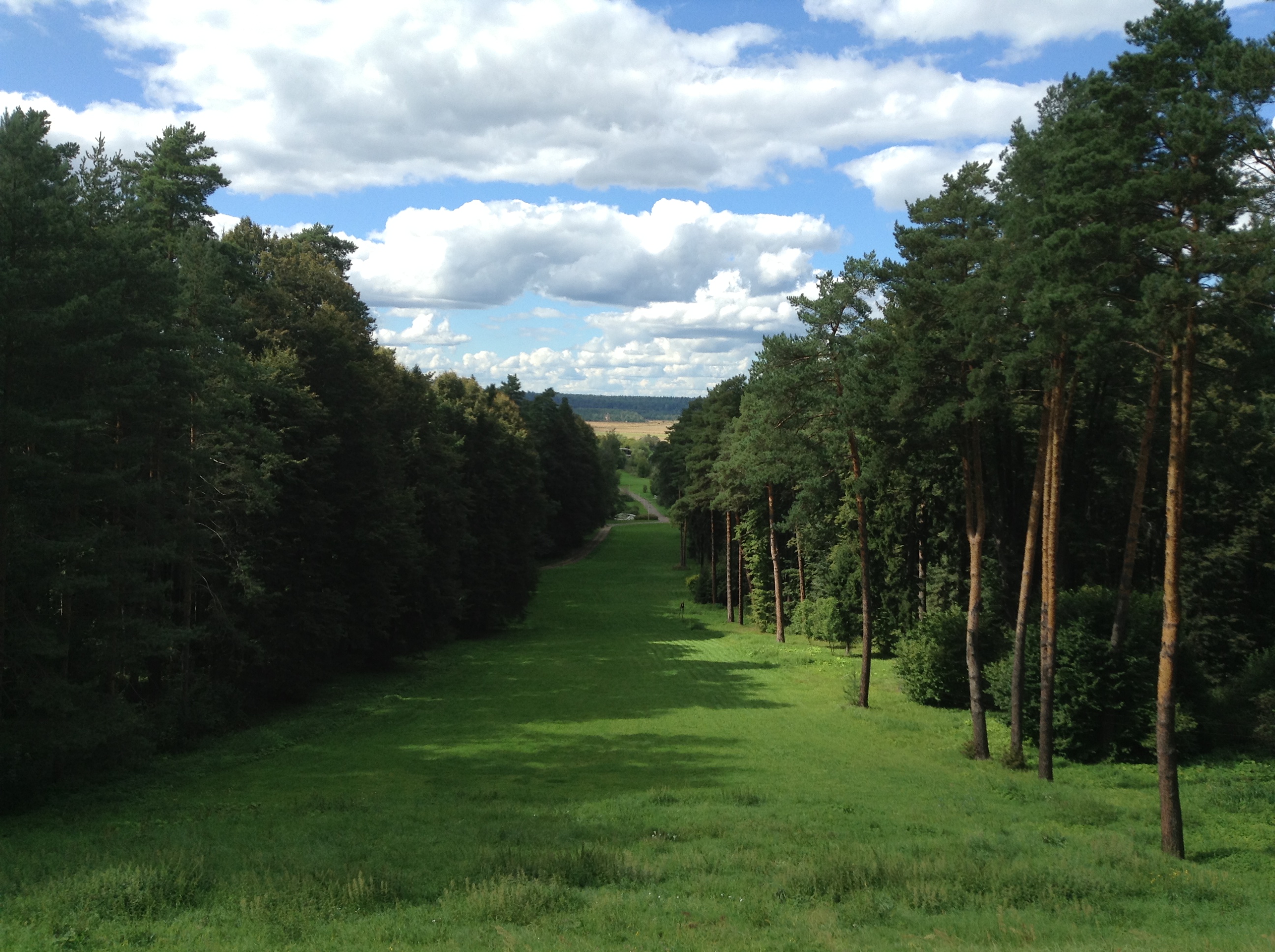 Фото Введенское