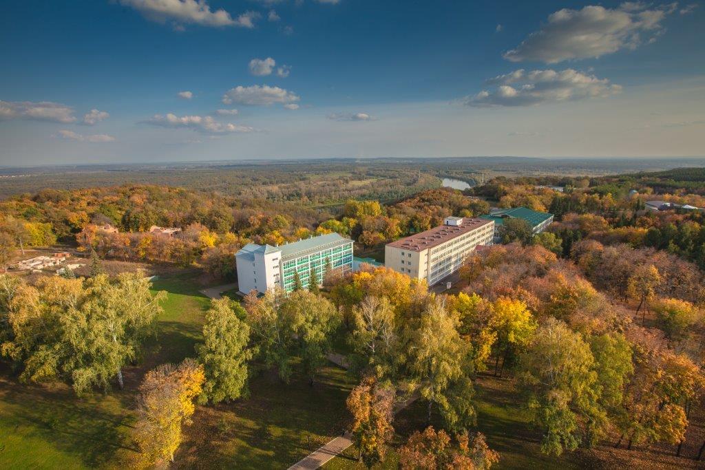 Фото Зеленая роща