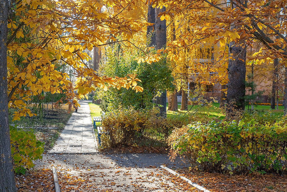 Фото Санаторий им. В. В. Володарского