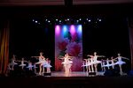 Schelkunchik (Berzarina Street, 20), escuela de baile