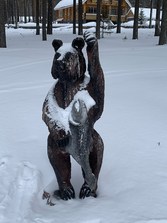 Фото Карелия Медвежка