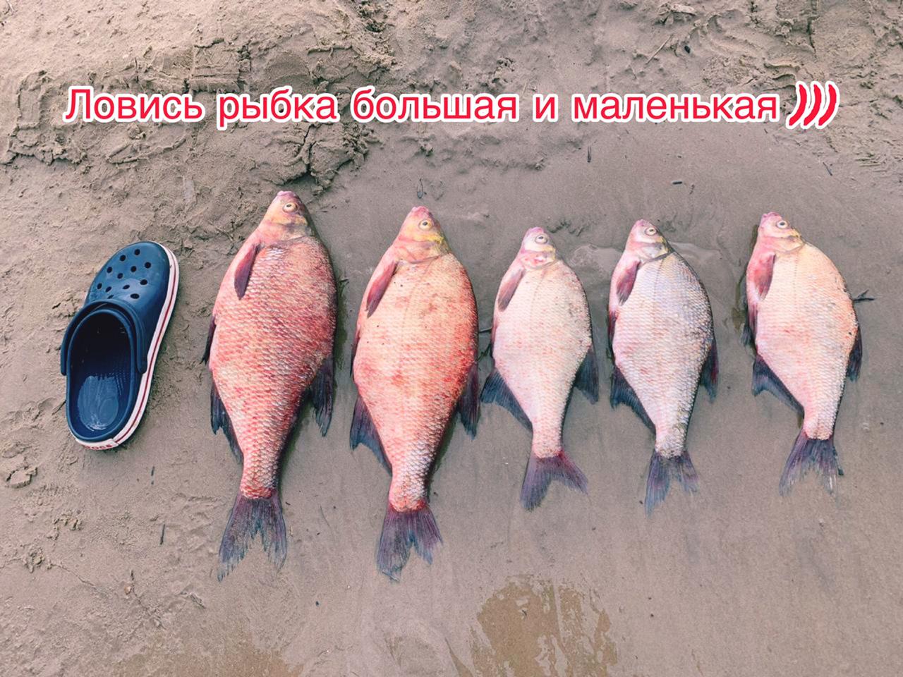 Фото Усадьба Рассвет