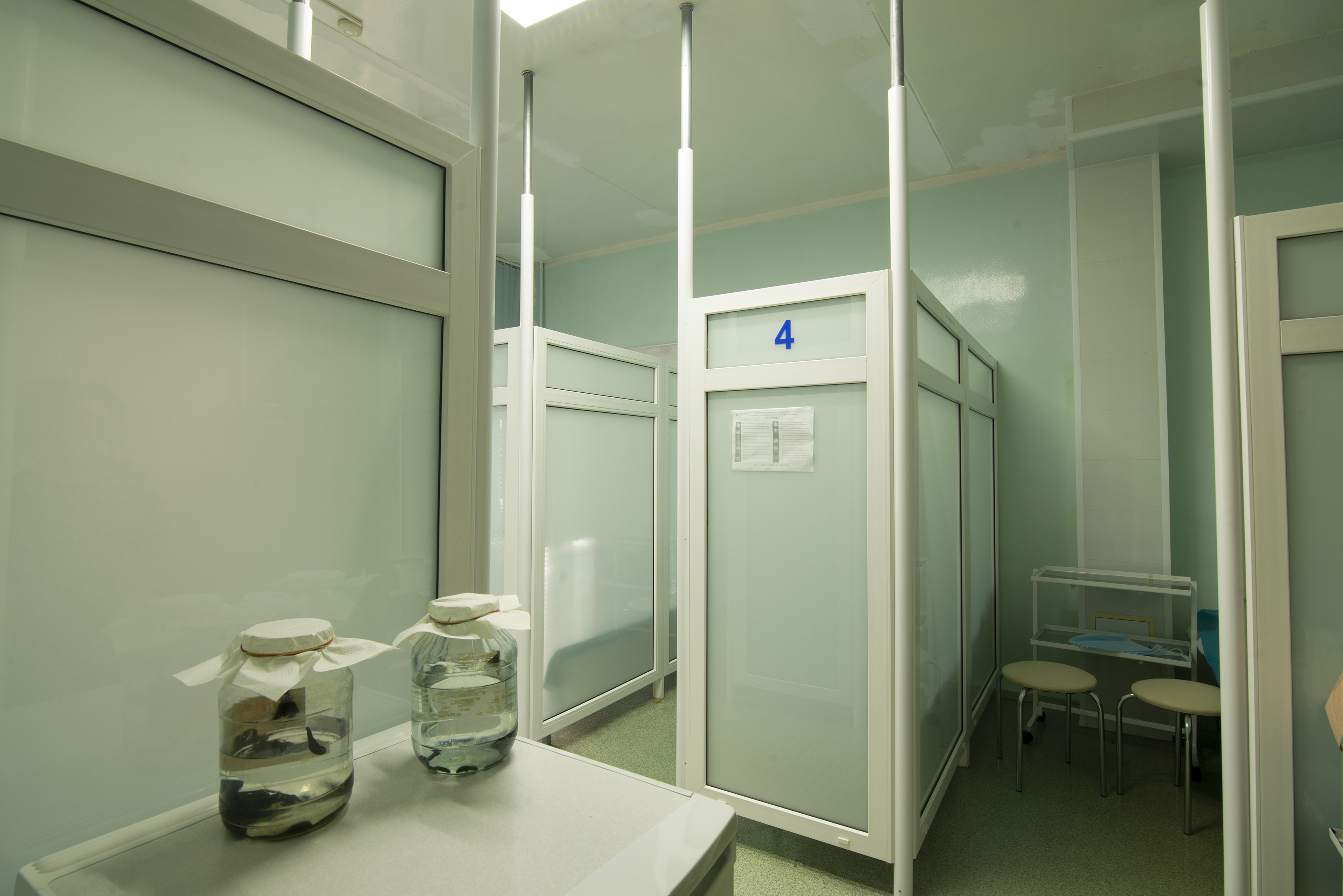 Фото Жемчужина