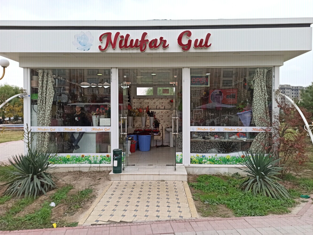 96 yoshli Milli Kuper bilan video jinsiy aloqa yozuvlari