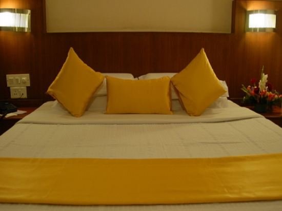 Фото Hotel Maurya Residency