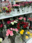 Novoye Vremya (ulitsa Kommunarov, 53), flower shop