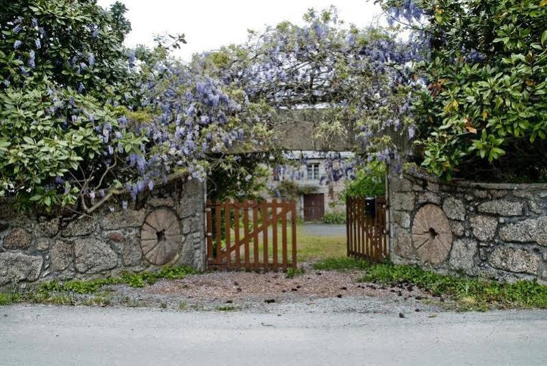 Фото Finca Galea