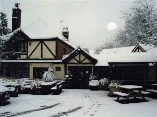 Фото Ye Olde Red Lion