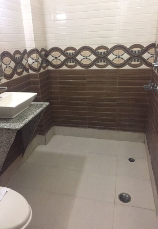 Фото Hotel India International Deluxe